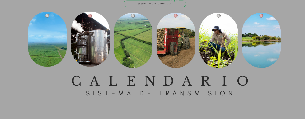 Calendario 2025