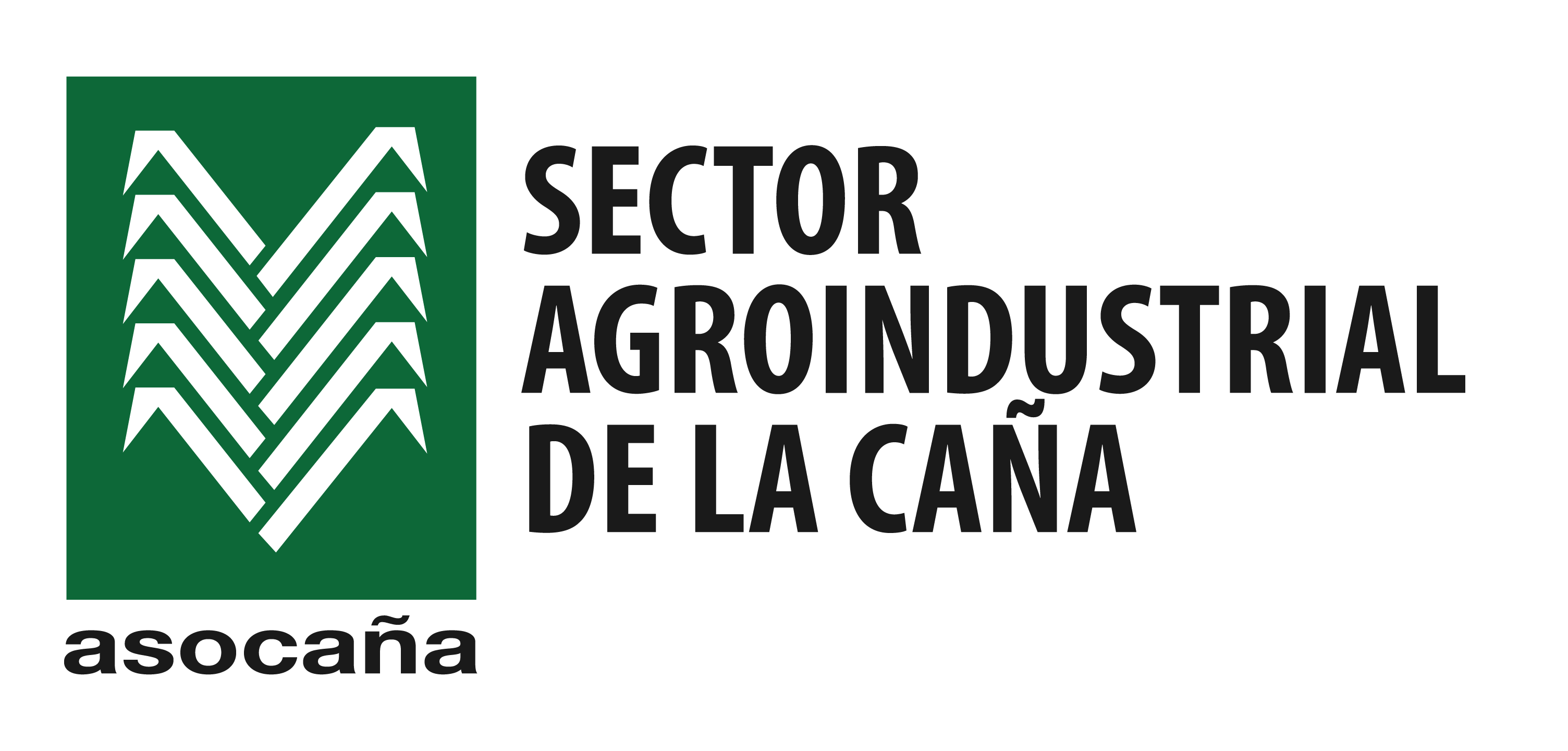 Logo Asocaña